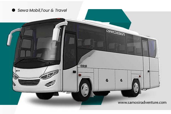 Bus-Medium